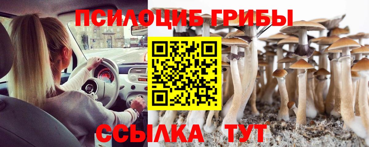 Галлюциногенные грибы Psilocybe  Вход с VPN  Галлюциногенные грибы MAGIC MUSHROOMS  купить наркоту  Новоалександровск 